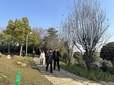 文章附圖